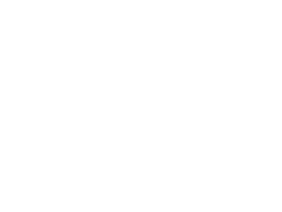 Emerald Fund logo